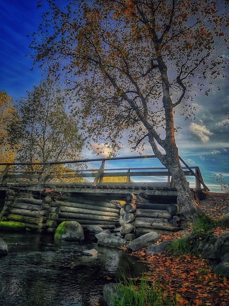 Фотография автора Галина Павлова