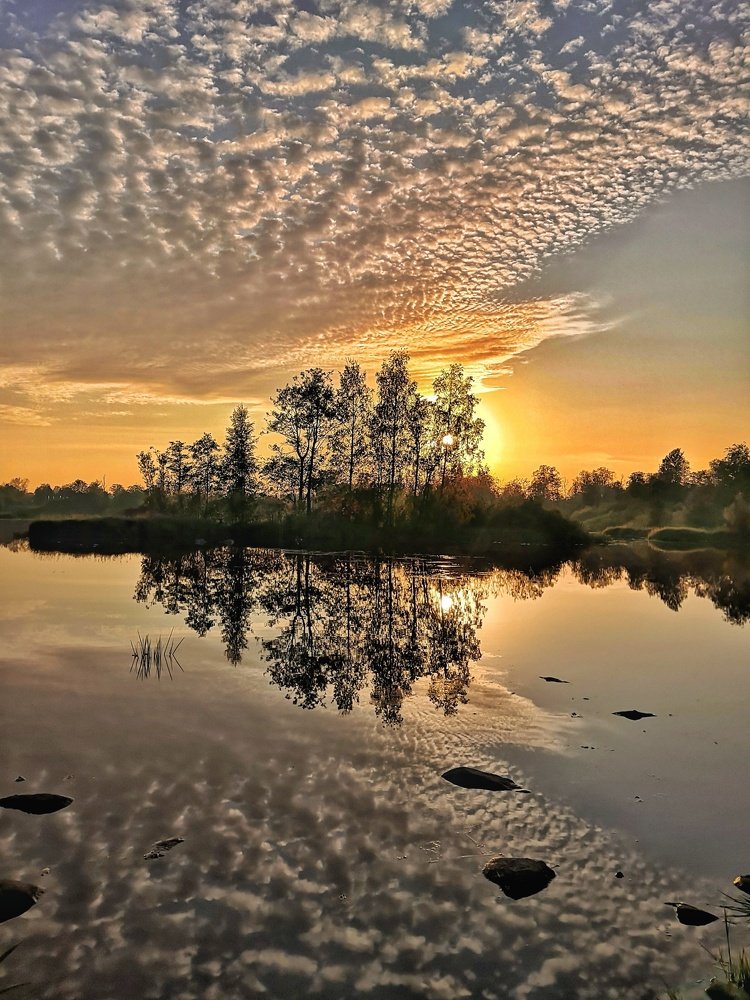 Фотография автора Галина Павлова