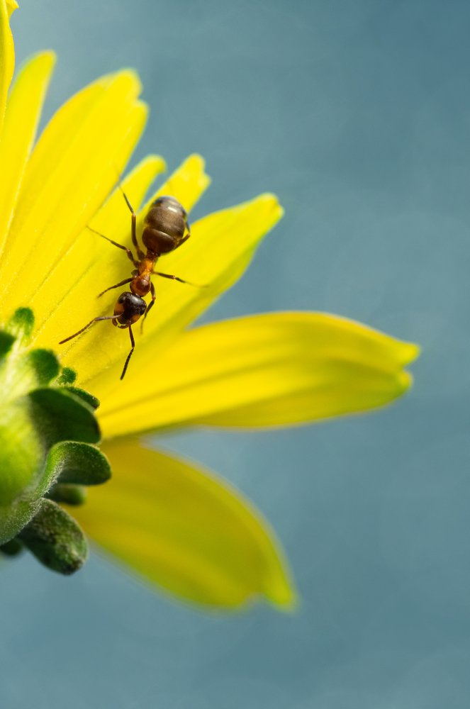 Photograph by Анастасия Яныкина