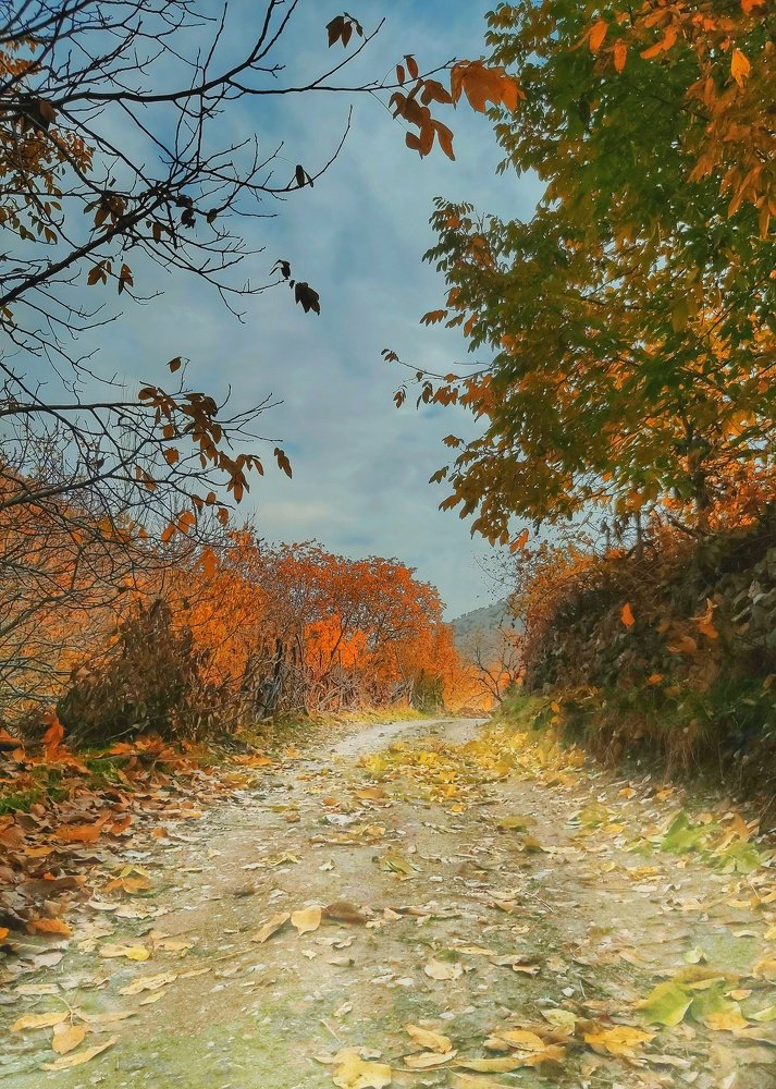 Photograph by Yahya Kakapour