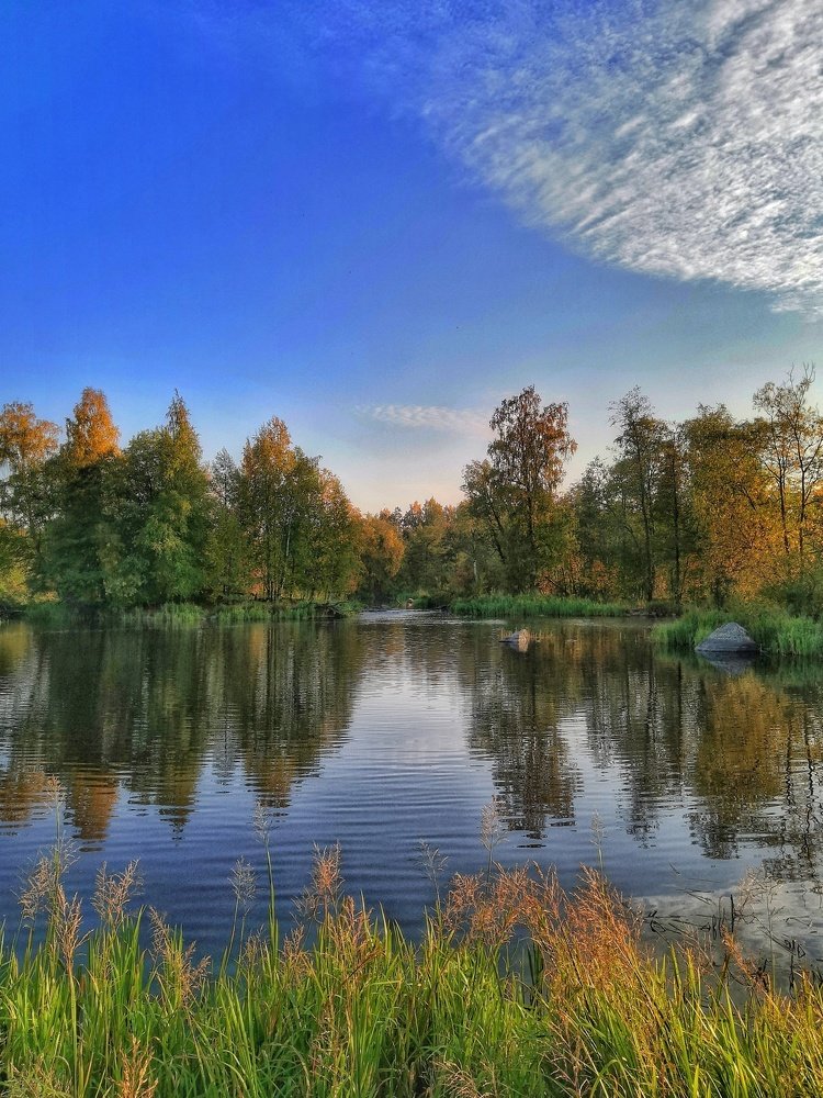 Лёгкое дыхание осени.