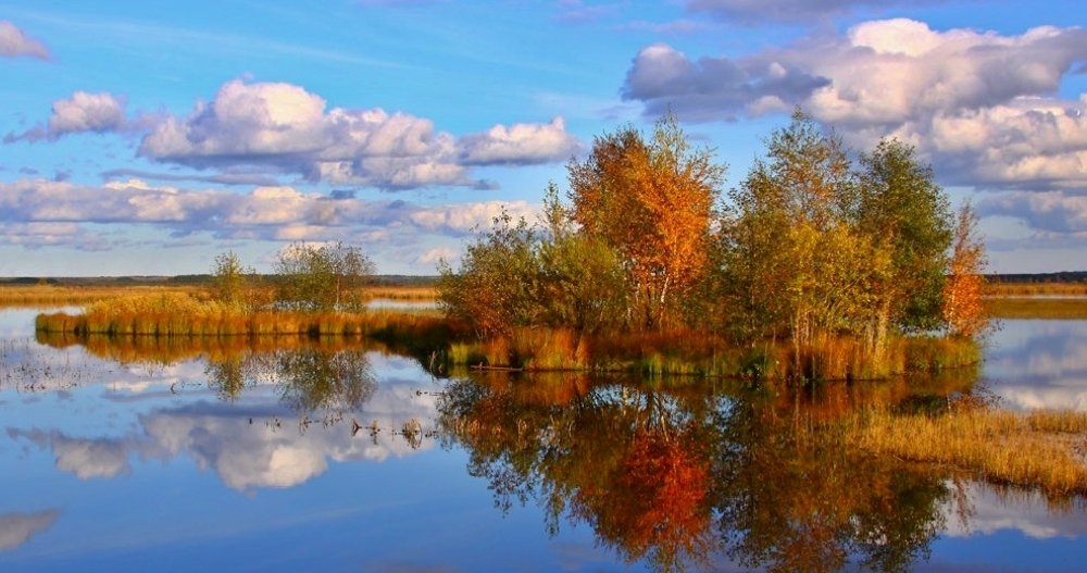 Сестрорецкий разлив...