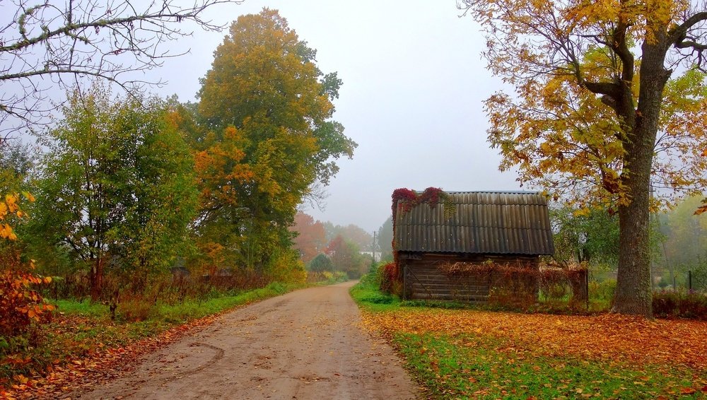 Photograph by Николай Шумилов