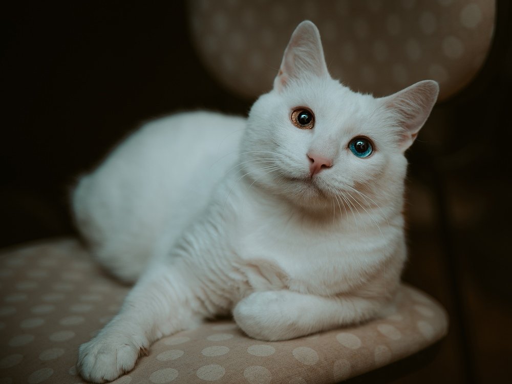 Photograph by Nika Soul