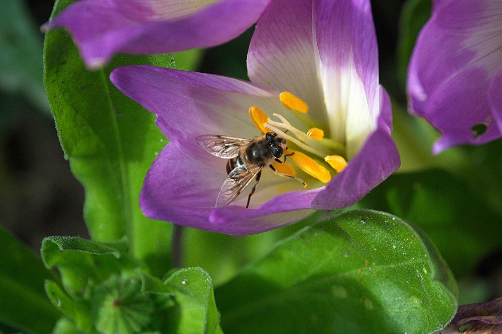 Photograph by Yroslava Veretina