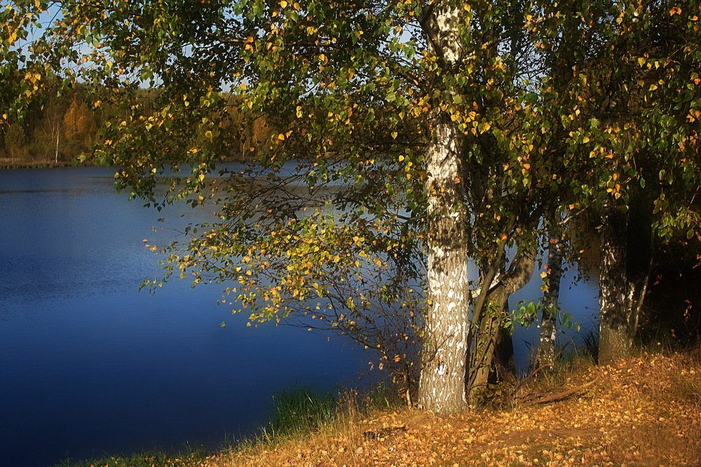 Photograph by Yroslava Veretina