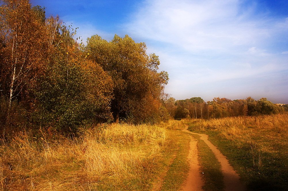 Photograph by Yroslava Veretina