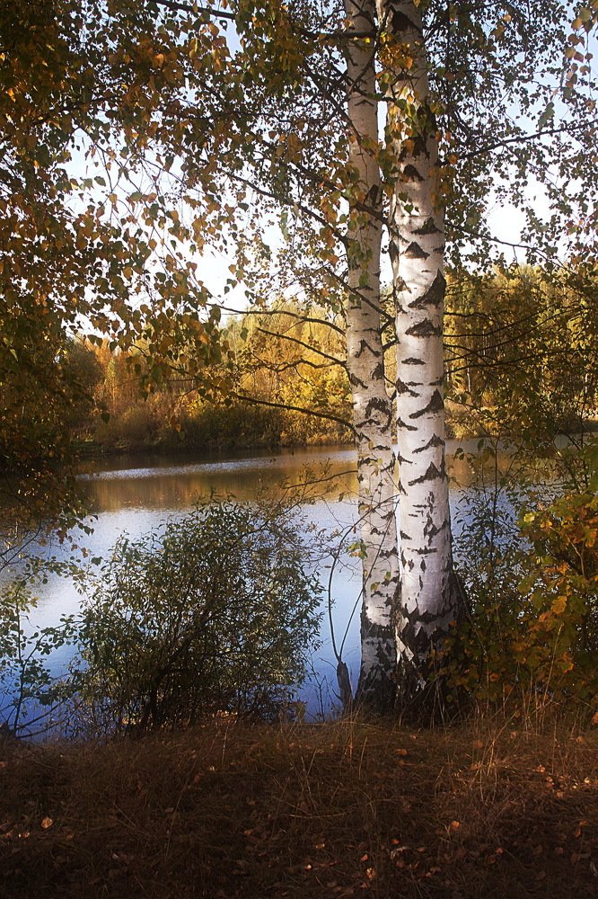 Photograph by Yroslava Veretina