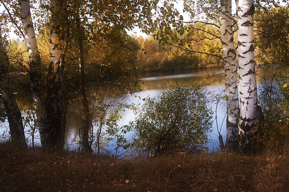 Photograph by Yroslava Veretina