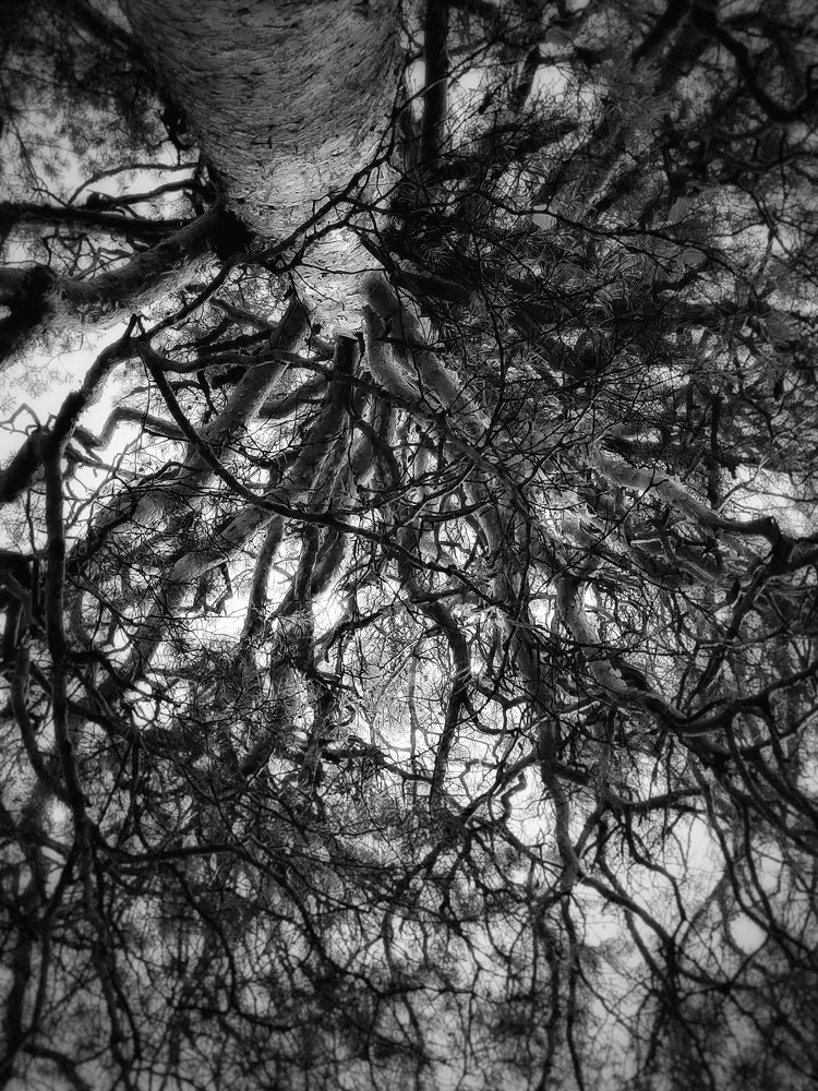 Photograph by Юлия Репина