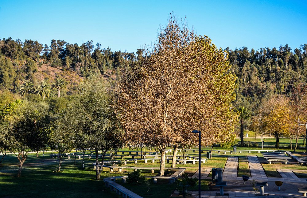 Fall in the Lake District of Chile
