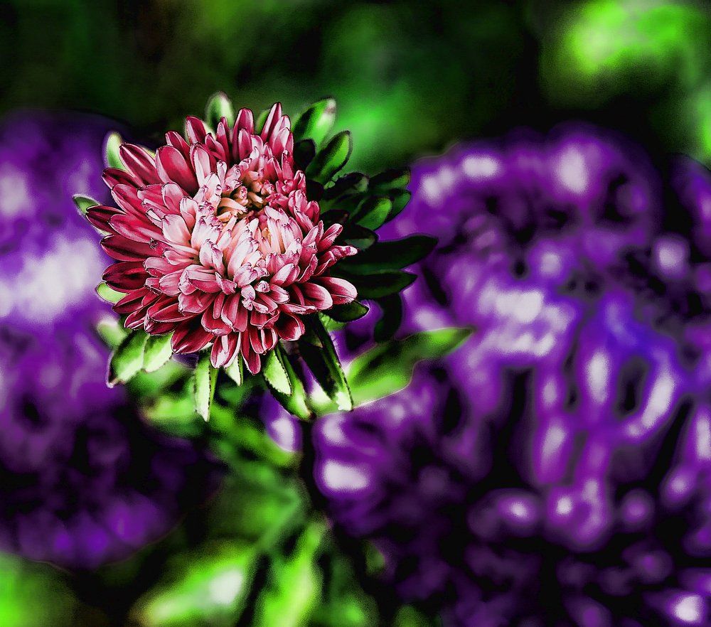 Photograph by Tatyana Semenova