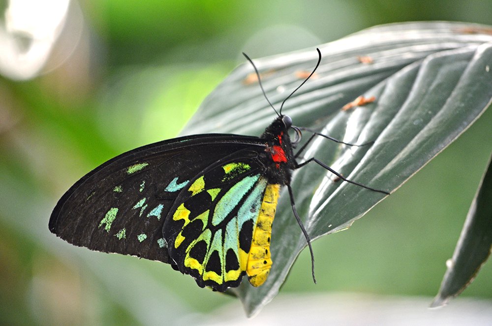 Photograph by Liliana Grup