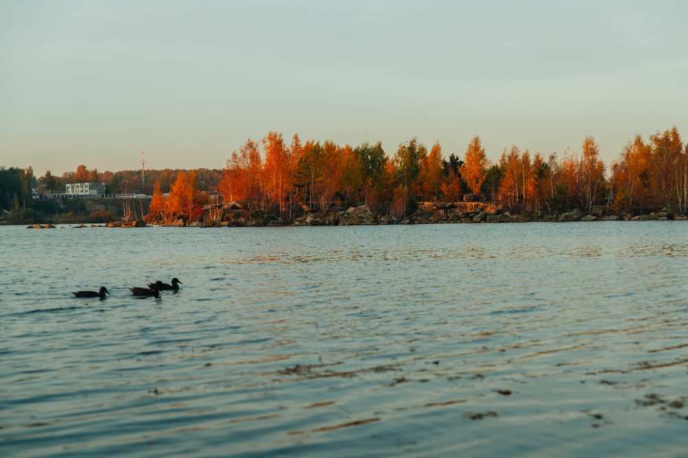 Photograph by Любовь Белявцева