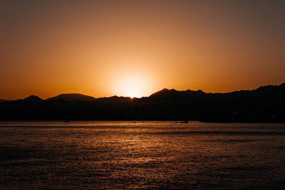 Photograph by Алексей Молчан