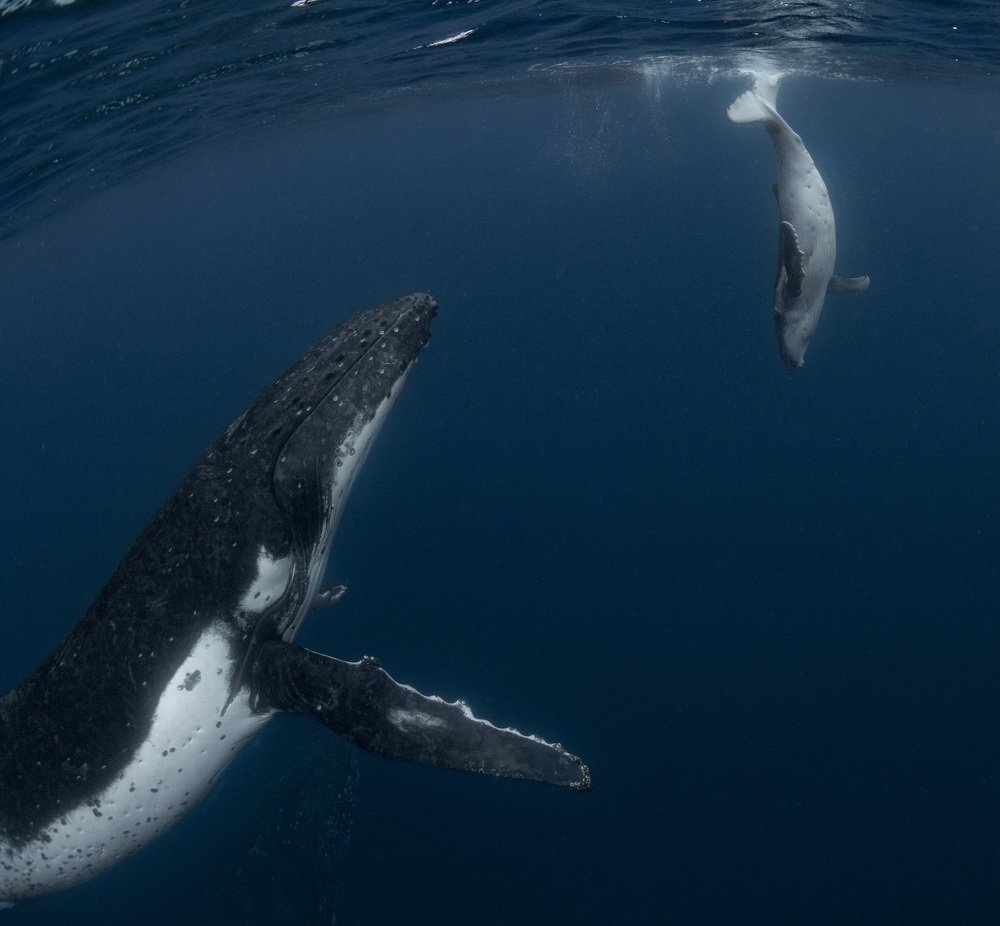 Photograph by takahashi reiko