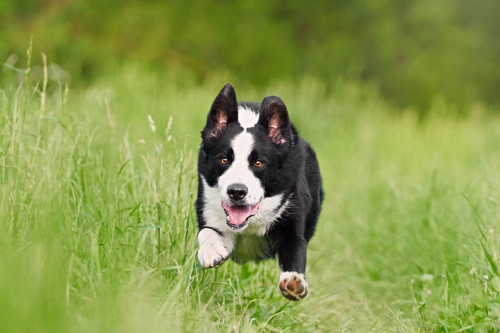 Photograph by Оксана Сироштан