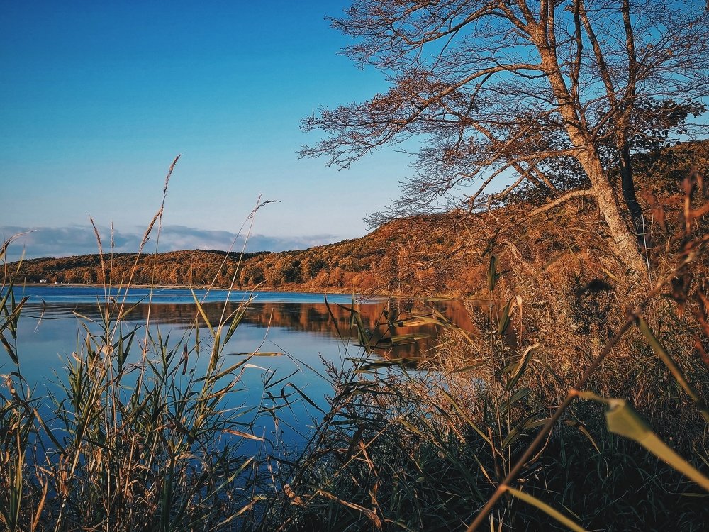 Photograph by Анна Сидоренко