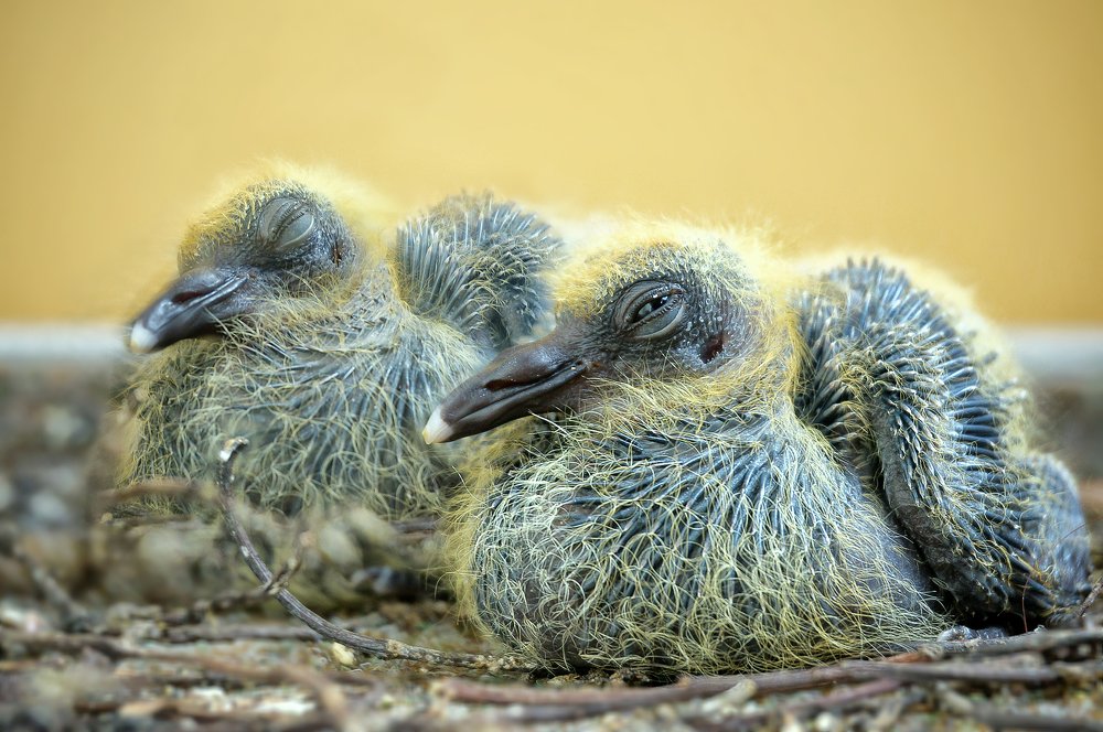 Фотография автора Tatiana Kadotschnikow