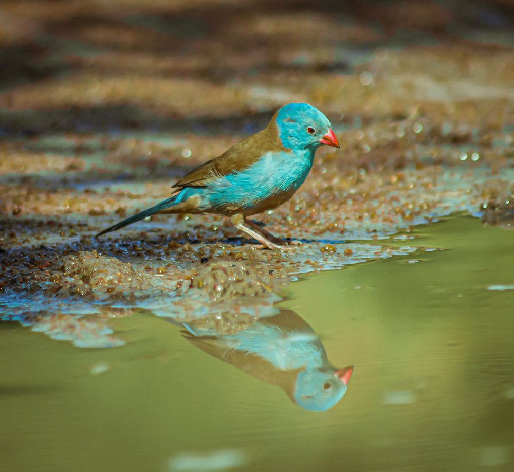 Photograph by Michael Jonathan