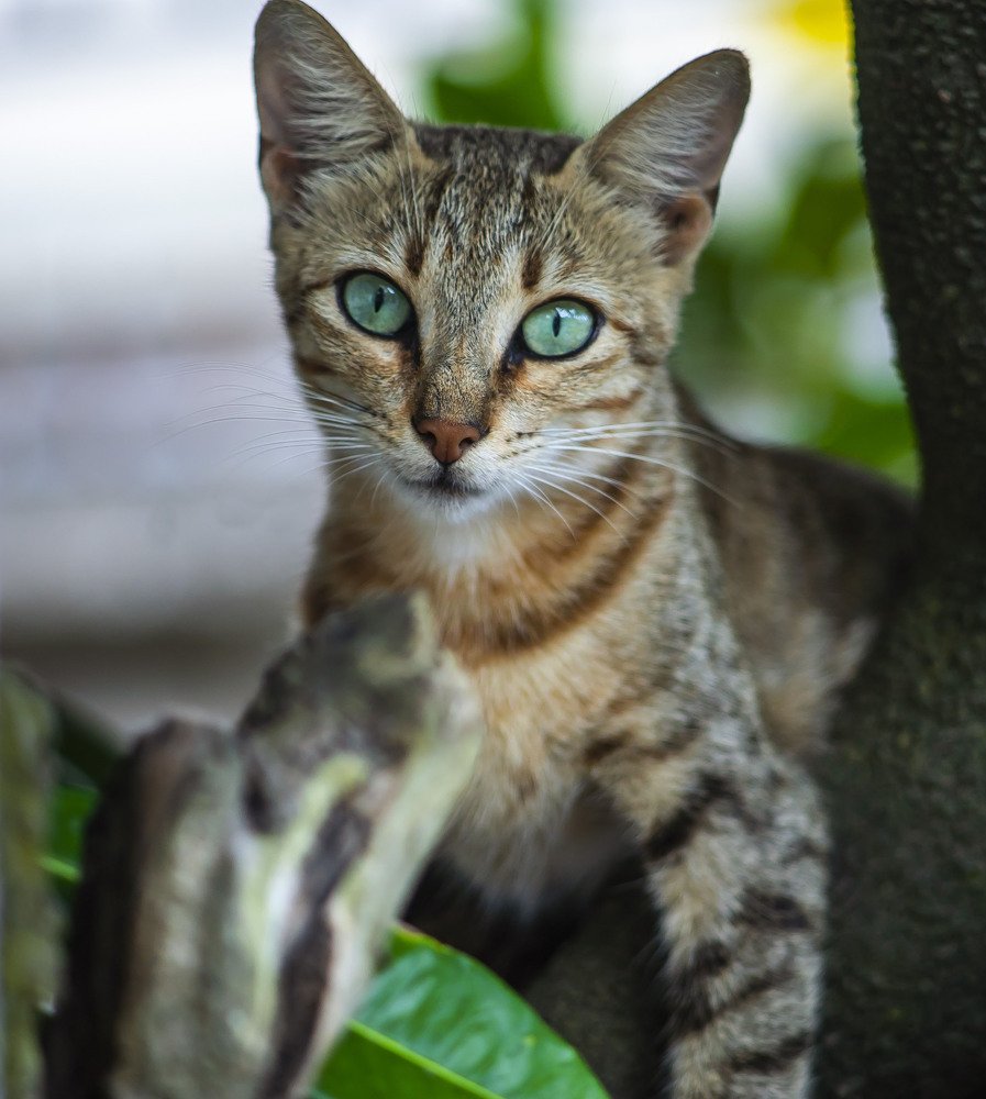 Photograph by Michael Jonathan