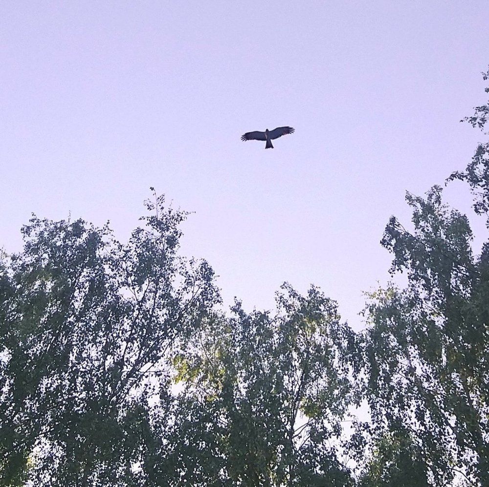 Photograph by Инна Голубева