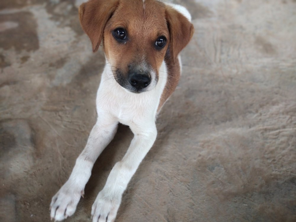 Photograph by Avinash Kumar