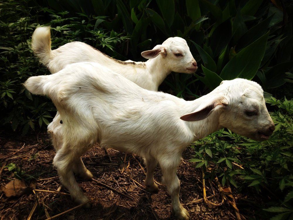 Photograph by Avinash Kumar