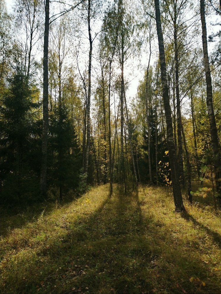 Photograph by Инна Голубева