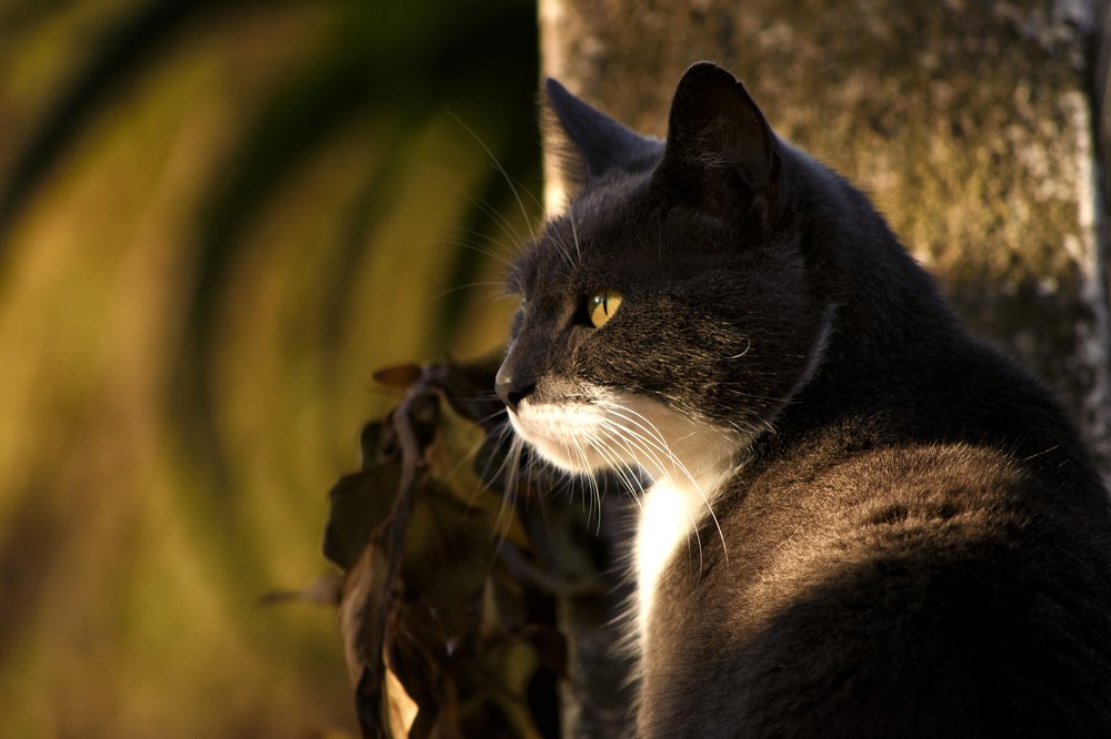 Photograph by Lucia Ana Juárez