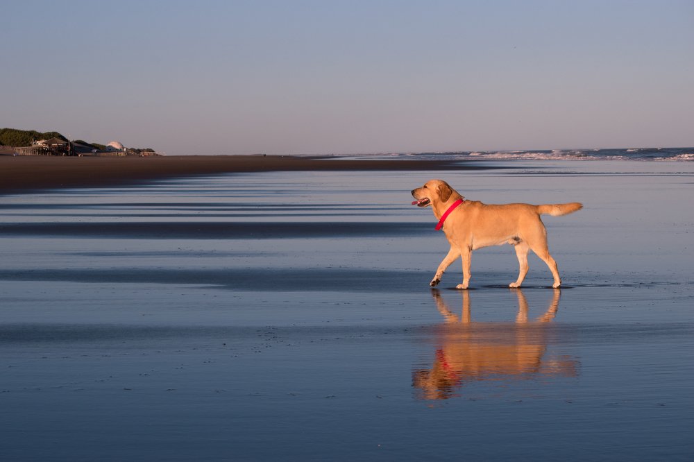 Photograph by Lucia Ana Juárez