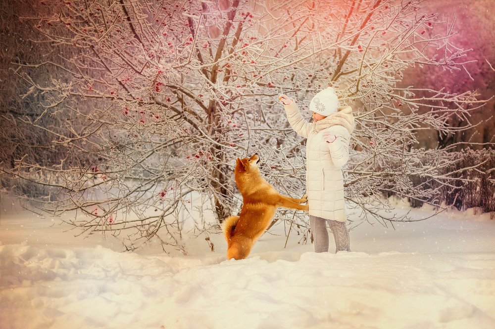 Photograph by Елена Петрова