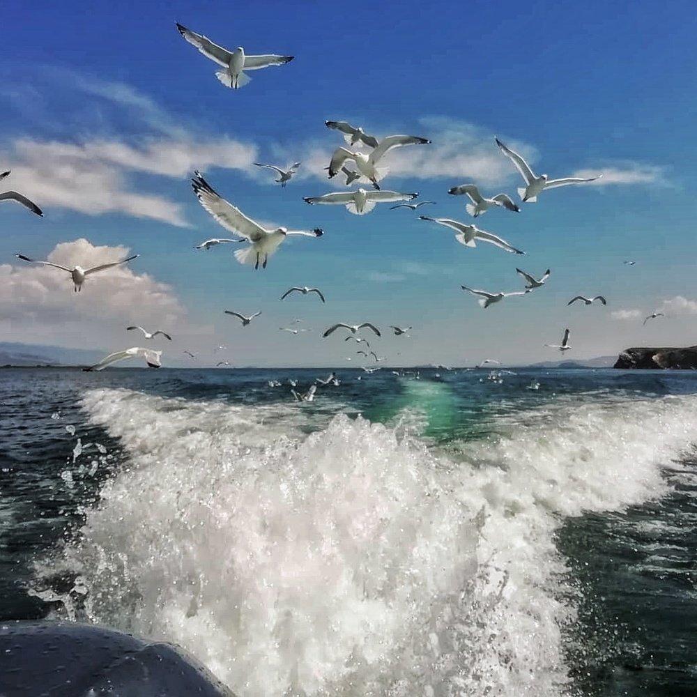 Photograph by Юлия Репина