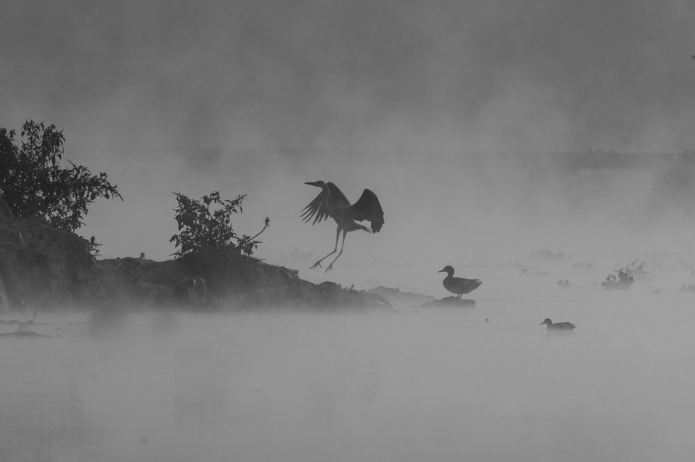 Photograph by Suman Paul