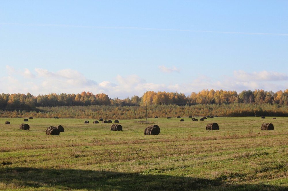 Photograph by Елена Верховская