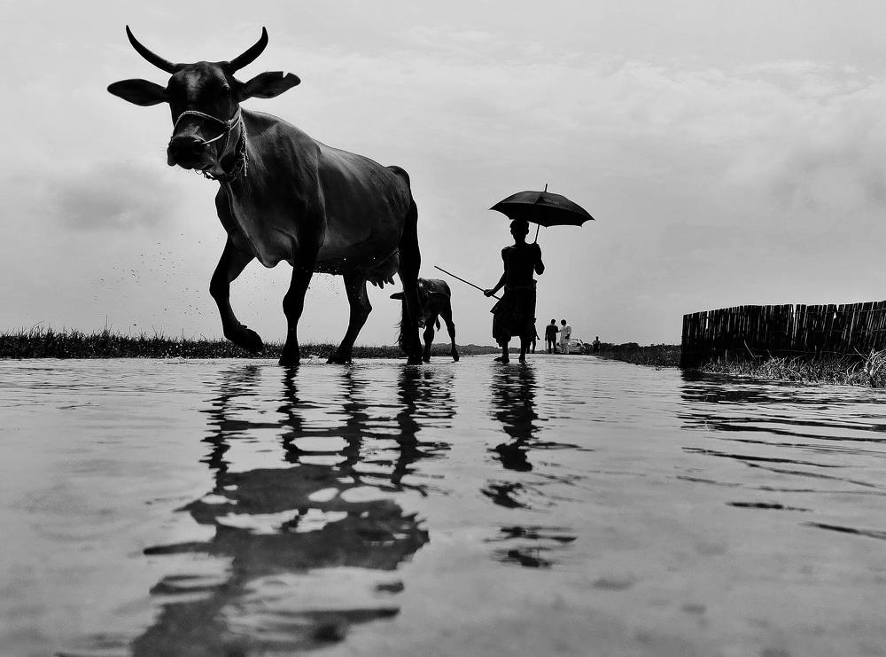 Photograph by Aditya Kumar Sahoo