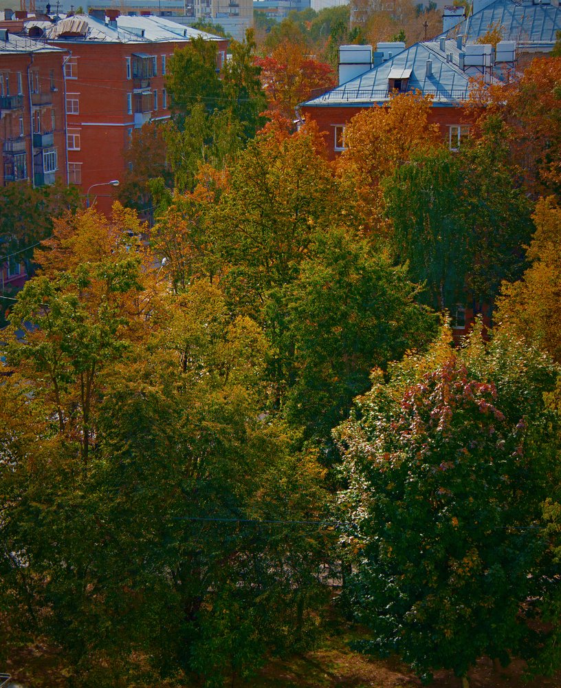 Autumn in the City
