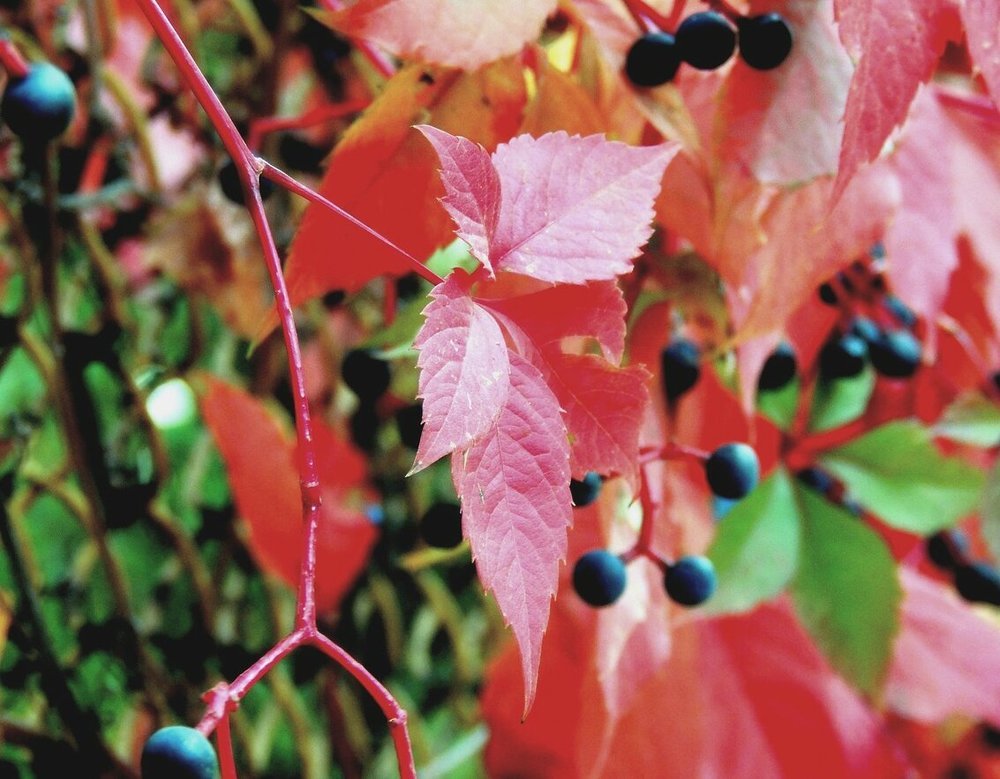 Photograph by Юрий Тихонов