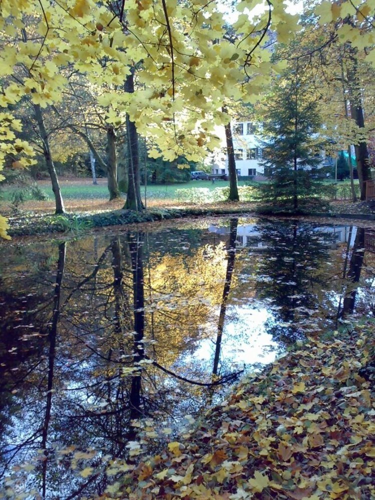 Photograph by Юрий Тихонов