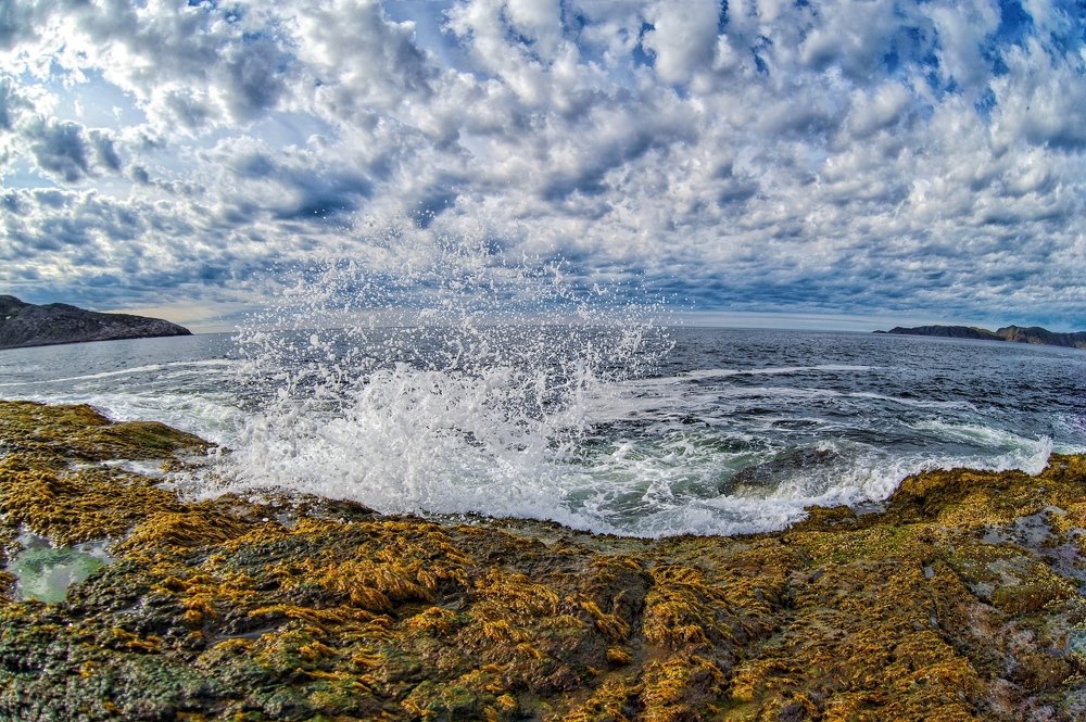 Photograph by Александр