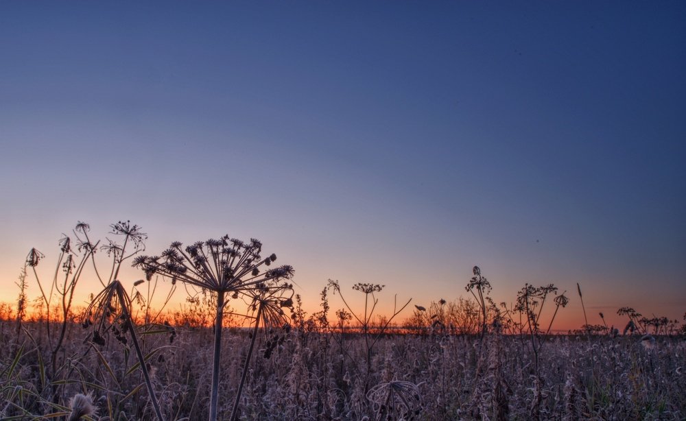 Photograph by Александр