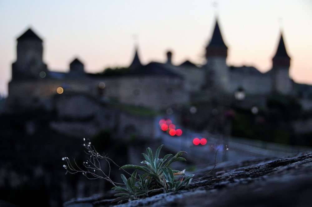 Фотография автора Александр