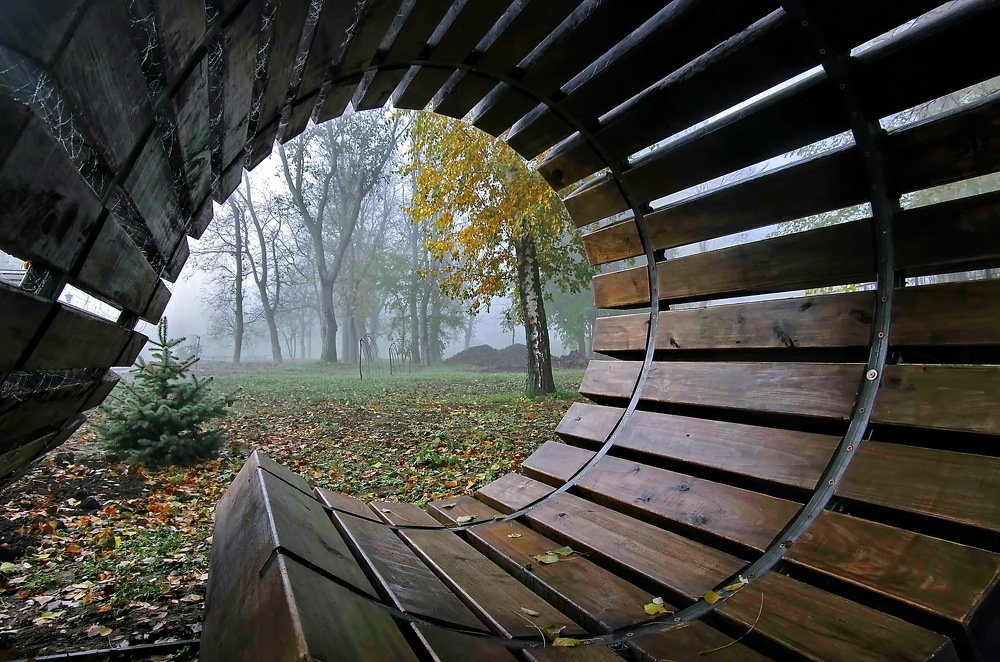 Photograph by Анатолий Святой