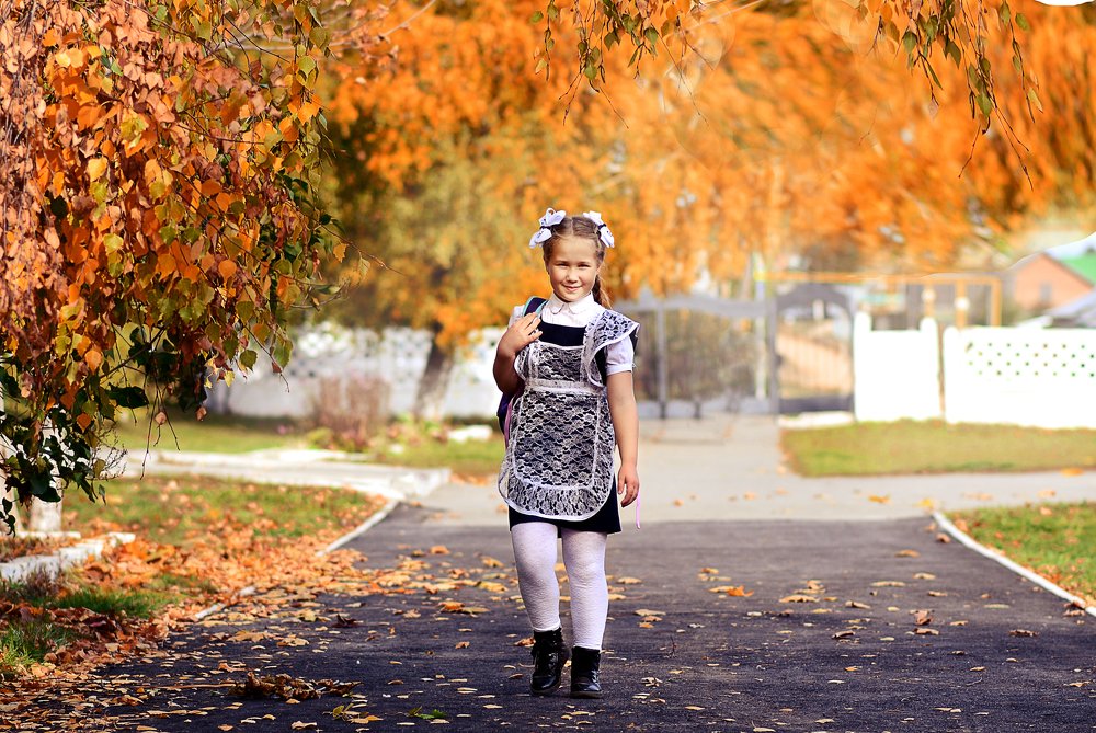 Осень в школьном дворе