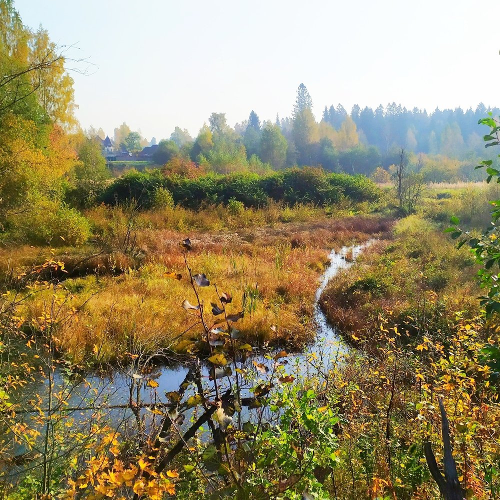 Photograph by Елена Павлова