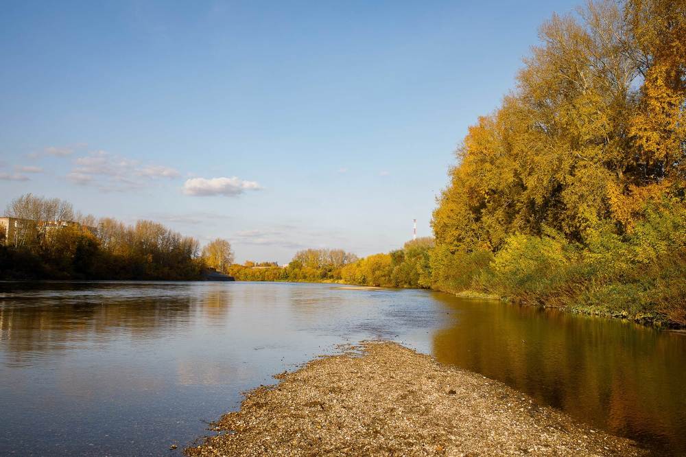 Фотография автора Анна Толмачева