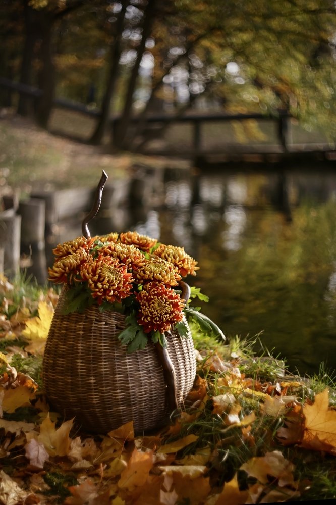 Photograph by Татьяна Кытина