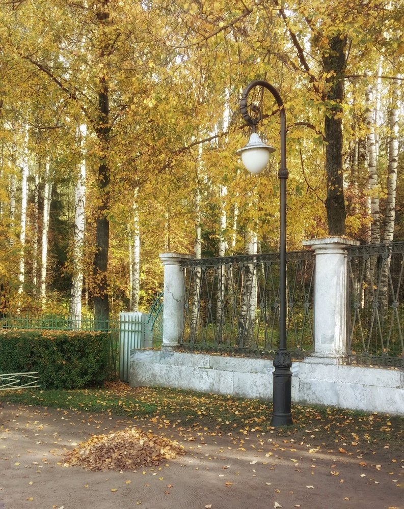 Photograph by Елена Амосова