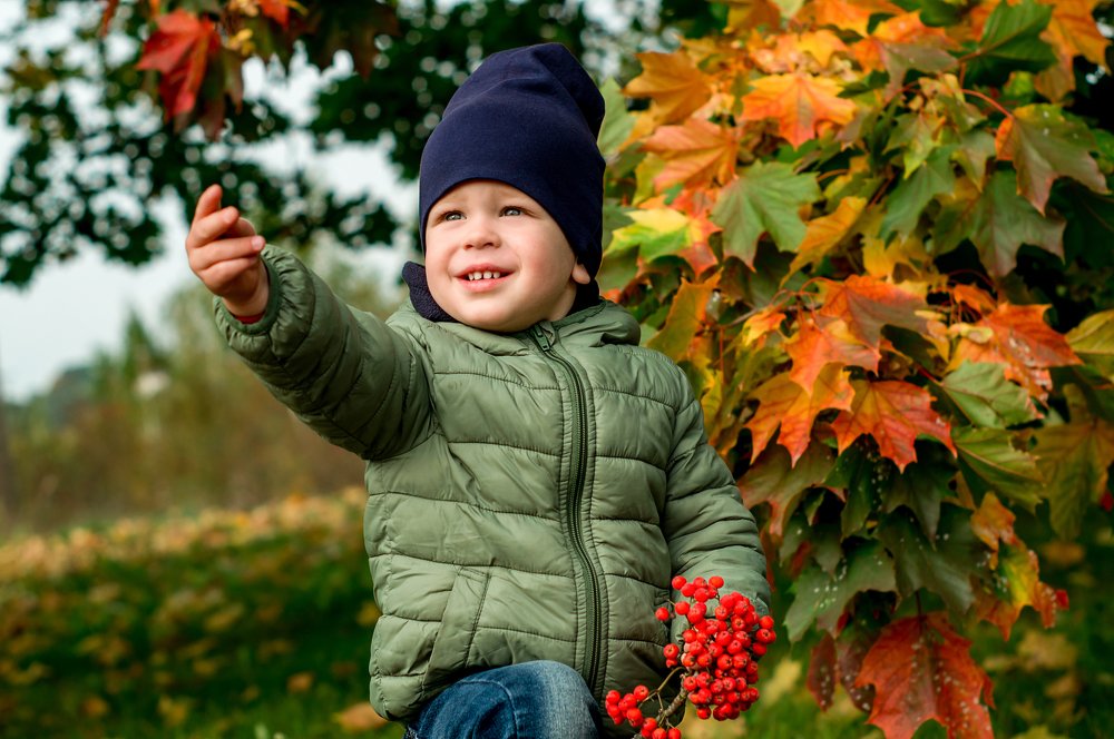 Фотография автора Александр Сенчуров