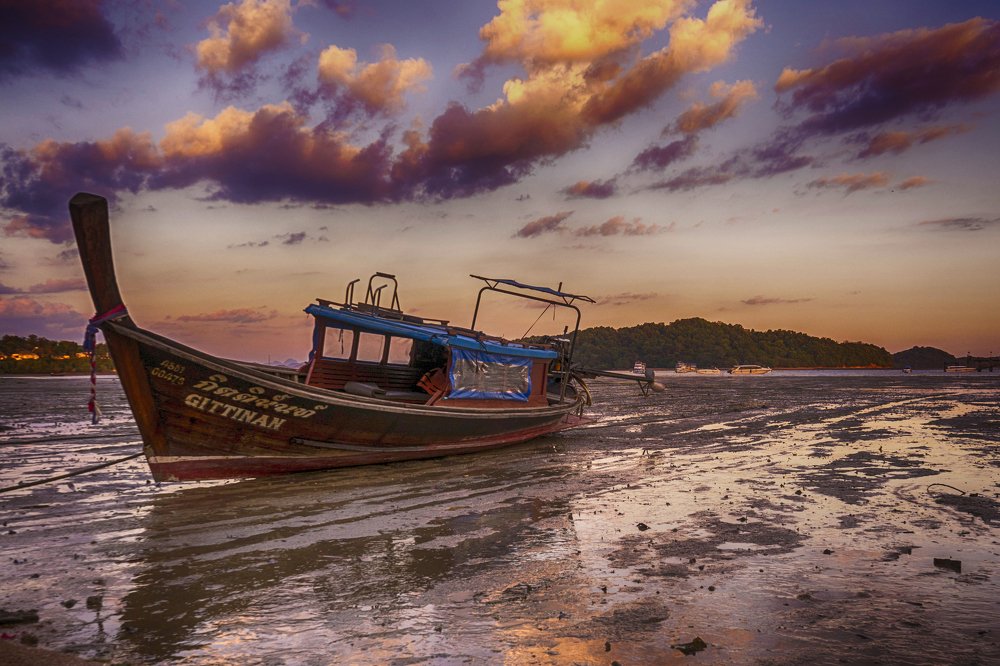 Photograph by Larisa Usmanova